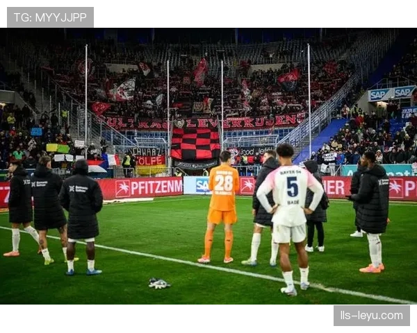 霍芬海姆vs沃尔夫斯堡因场外球迷投掷杂物中断十分钟