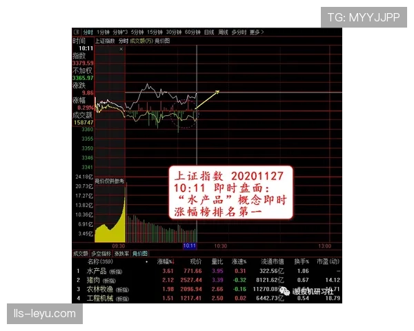 深度:数据透视德甲“后腰后卫化”趋势,对低位防守体系构建的影响 深度:数据透视德甲“后腰后卫化”趋势,对低位防守体系构建的影响